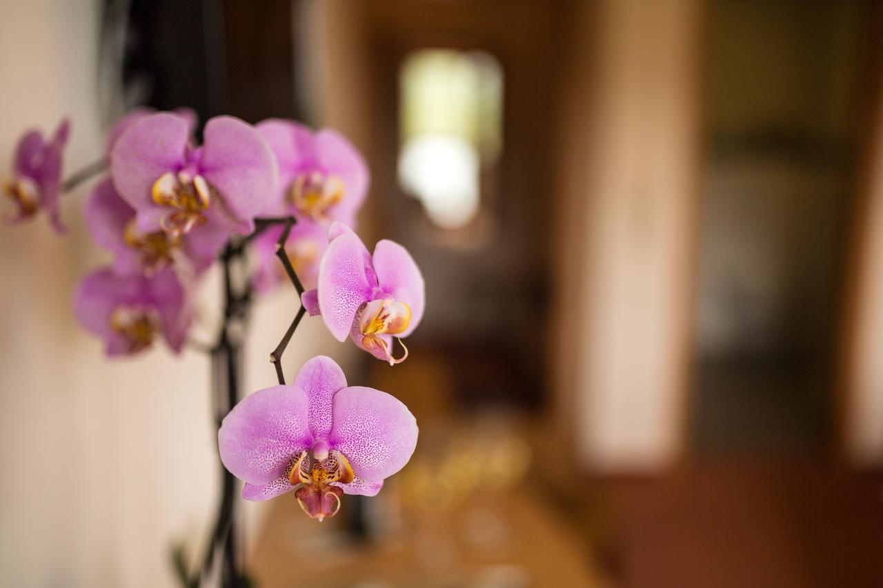 Hotel Zehnthof Uerzig Luaran gambar